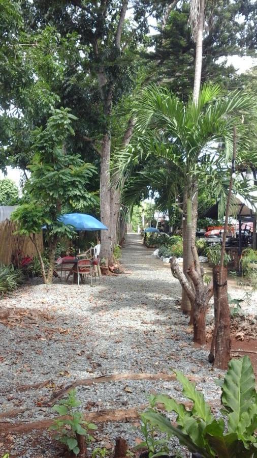 Larmar Bed And Breakfast Puerto Princesa Oda fotoğraf